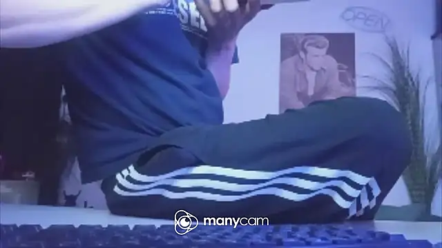 der_dino30 webcam