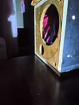 bwcfleshlight webcam