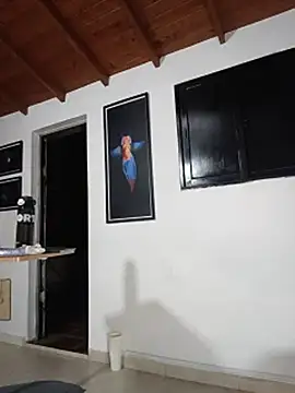SilvaBranko webcam