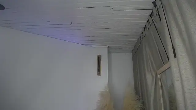 Haddes_as webcam