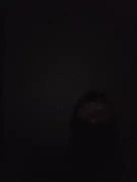 Nidge251 webcam