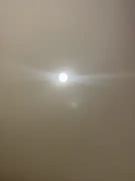 MichelleFerry_ webcam