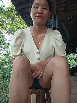 Td3di webcam