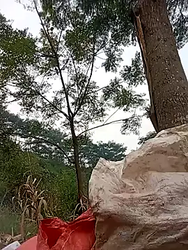 Heryy_xx webcam