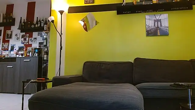 zaking22cm webcam