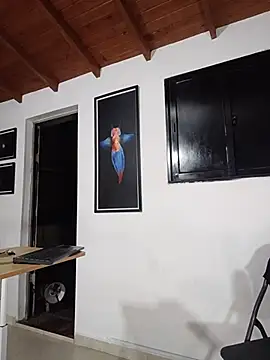 SilvaBranko webcam