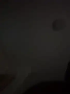 Django5454 webcam