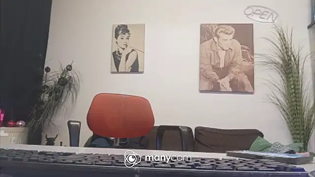 der_dino30 webcam