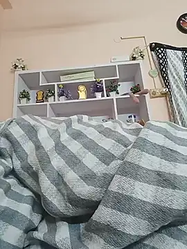 Hansikatelugu webcam