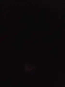 Nidge251 webcam