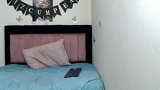 VICTORYXS1 webcam