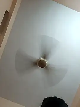 Hansikatelugu
