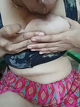 Hansikatelugu webcam