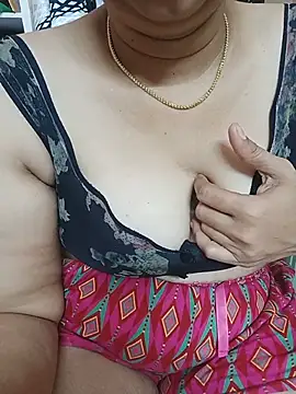 Hansikatelugu webcam