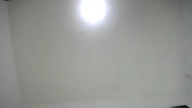Fox_Loves webcam