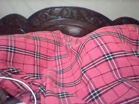 missarpie webcam