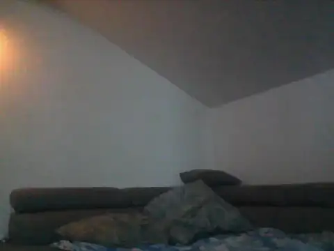 DefiniteTimor webcam