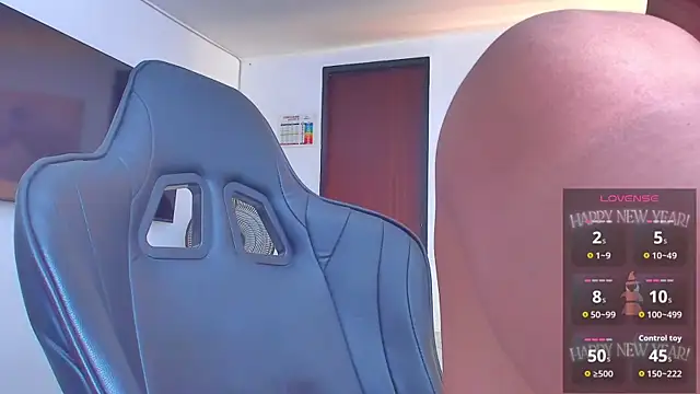 RJBarto webcam