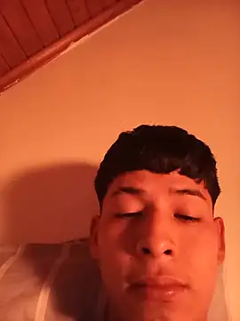 Jl20188 webcam