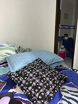 sandylau webcam