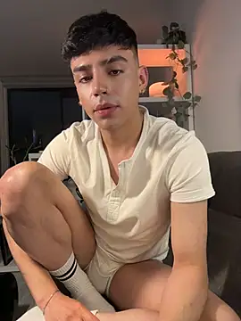 aronnhidden