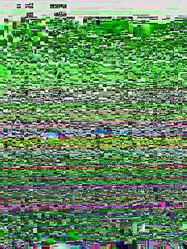 Dnasty408 webcam