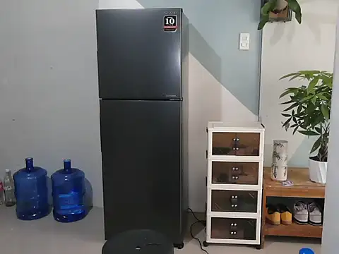 Darkevion webcam