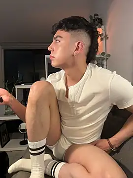aronnhidden webcam