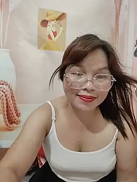 Cover-baa webcam