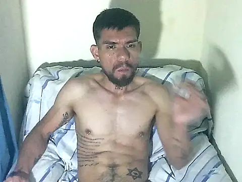 thomas2wood webcam