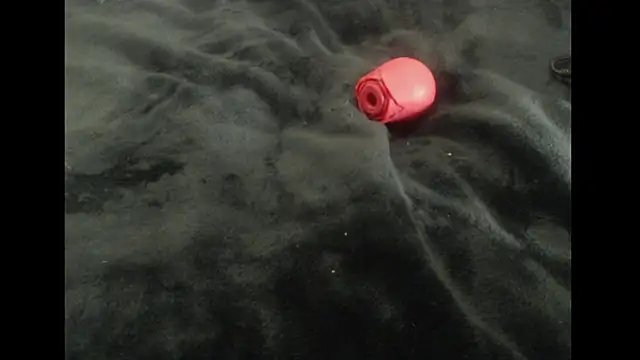 MaevenNectar webcam