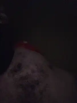 Nidge251 webcam