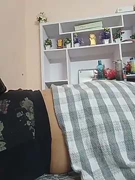 Hansikatelugu webcam