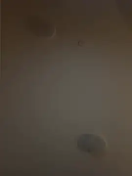 Django5454 webcam