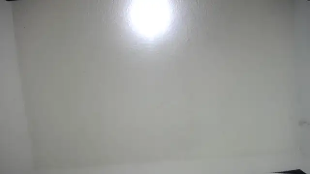 Fox_Loves webcam