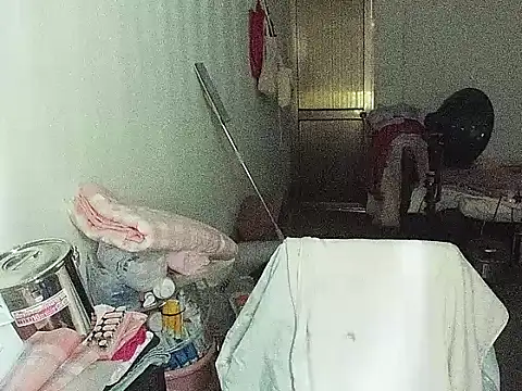 RebelAura webcam