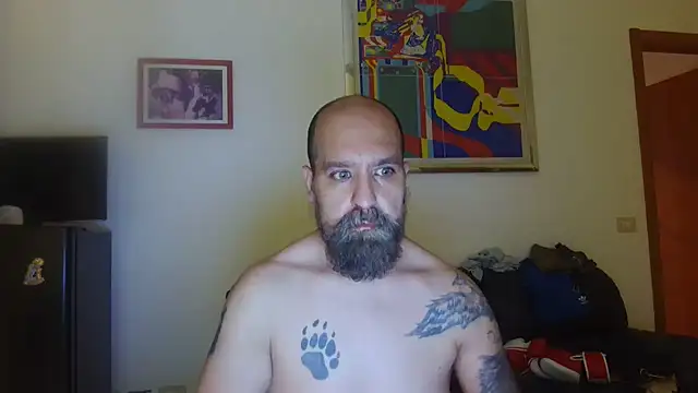 AMIRDIB2025 webcam