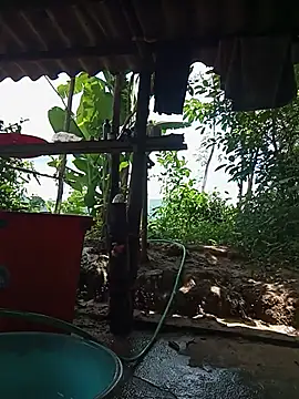 Nuna_689 webcam
