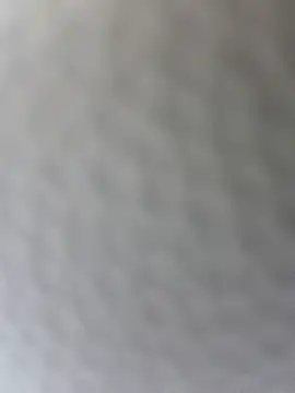 AnnyShore webcam