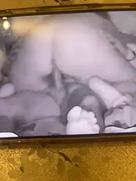 sharks90 webcam