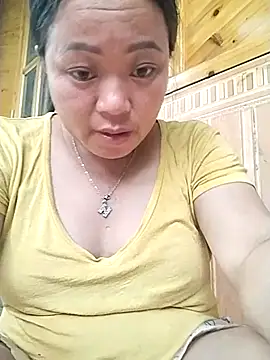 Min-in webcam