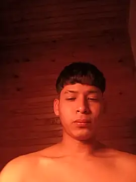 Jl20188 webcam
