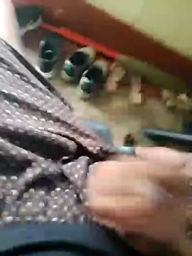 lambakooli webcam