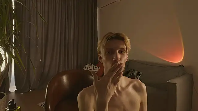 artkita webcam