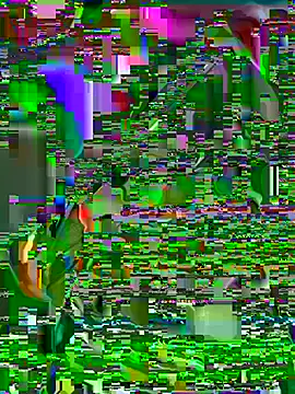 LuxeAura webcam