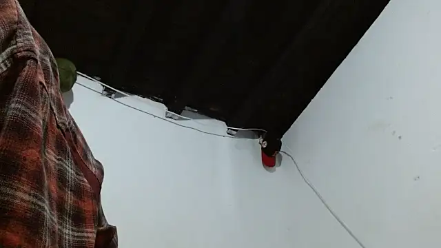 sk8-sir webcam