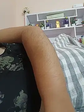 Hansikatelugu webcam