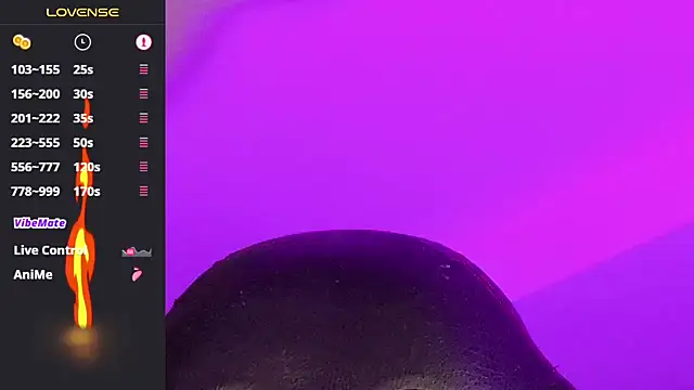 Max-prada webcam