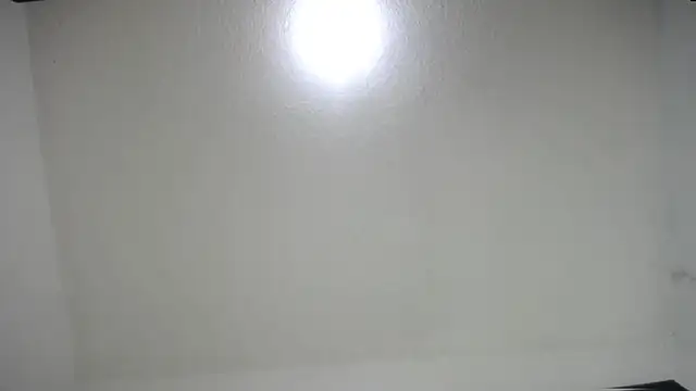 Fox_Loves