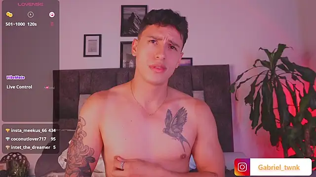 I_Gabriel webcam